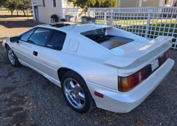 1988 Lotus Esprit Turbo Commemorative Edition