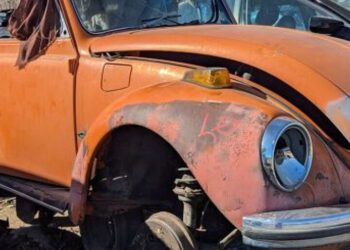Junkyard Find: 1972 Volkswagen Super Beetle Convertible