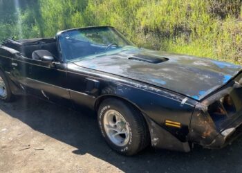 At $10,000, Would You Flip Your Lid Over This 1980 Pontiac Firebird Trans-Am Convertible?