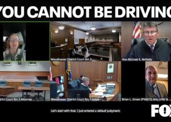 Do You Think I’m That Stupid?’ Judge Slams Woman’s Lies About Driving During Court Appearance
