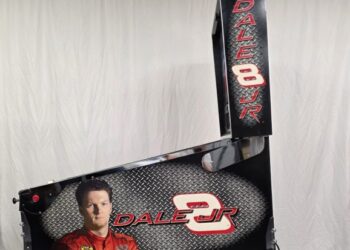 Stern Dale Jr. Pinball Machine at No Reserve