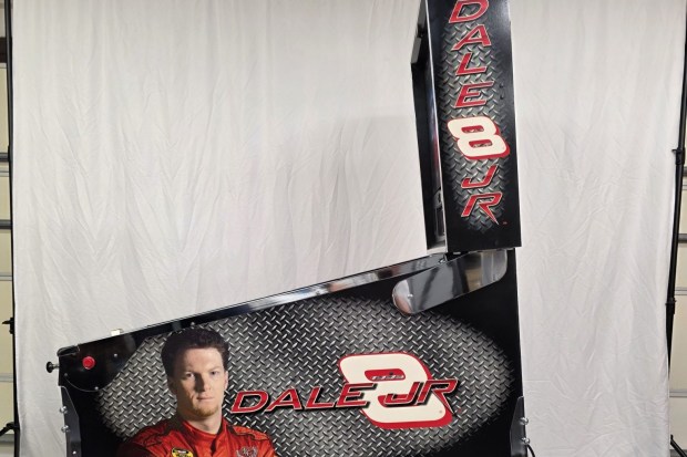 Stern Dale Jr. Pinball Machine at No Reserve