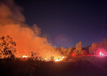 Jeep Driver Gets Stuck in Dry Grass, Starts 20-Acre Forest Fire