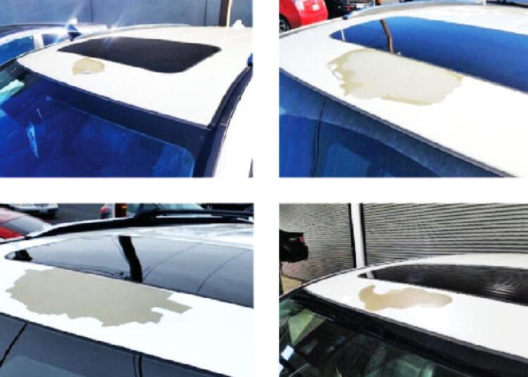 Honda White Paint Class Action Lawsuit Alive Again