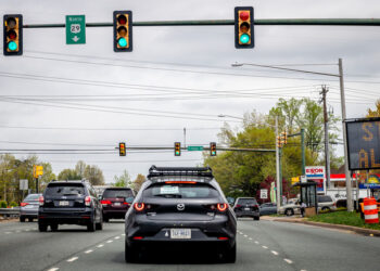 The Science Behind Voorhees Law