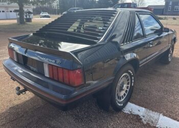 1982 Ford Mustang GT Hatchback 5.0 4-Speed at No Reserve