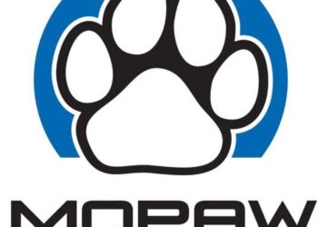 Mopaw from Mopar Means People Who Love Cars Can Love Dogs Too