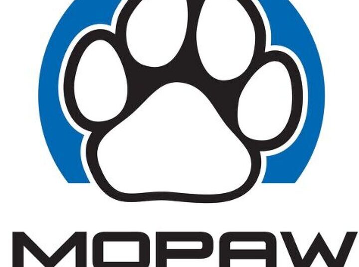Mopaw from Mopar Means People Who Love Cars Can Love Dogs Too
