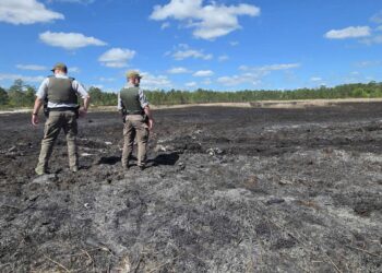 Stuck Jeep Wrangler Sparks 20-Acre Wildfire in Florida