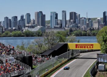 Canada F1 practice interrupted by Albon groundhog crash