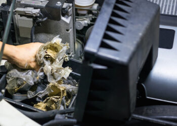 There Can Be Some Terrifying Stuff In Your Car’s Air Filters