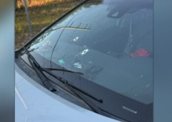 Florida Man Had ‘No Remorse’ After Shooting At Car That Brake Checked Him