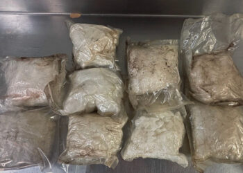 Salvage Yard Finds Nine Pounds Of Meth Stashed Inside A Junk Car’s Door