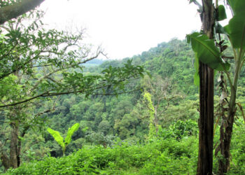 If You Want To Road Trip The World’s Longest Highway, You’ll Have To Plan For The Darién Gap