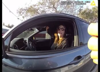 Bodycam Footage Shows Florida Cop Ticketing Woman For Using A Hand She Doesn’t Have