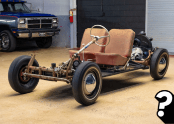 Question of the Week: What’s The Most Interesting Beetle-Based Creation You’ve Ever Seen?