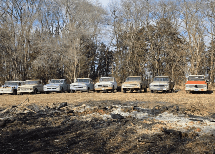 A Massive Hoard of 250 Classic Chevy Impalas Will Be Sold at Auction