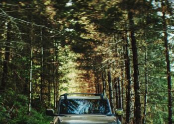 Ford Bronco Filson Debuts With Raptor V6 And Fanciest Bronco Interior Yet