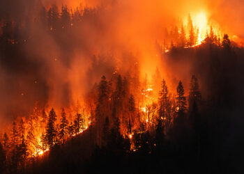 Cars Are Among The Leading Causes Of Wildfires